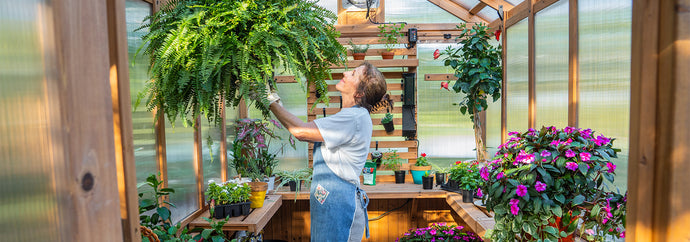 Gardening Tips For Your Greenhouse