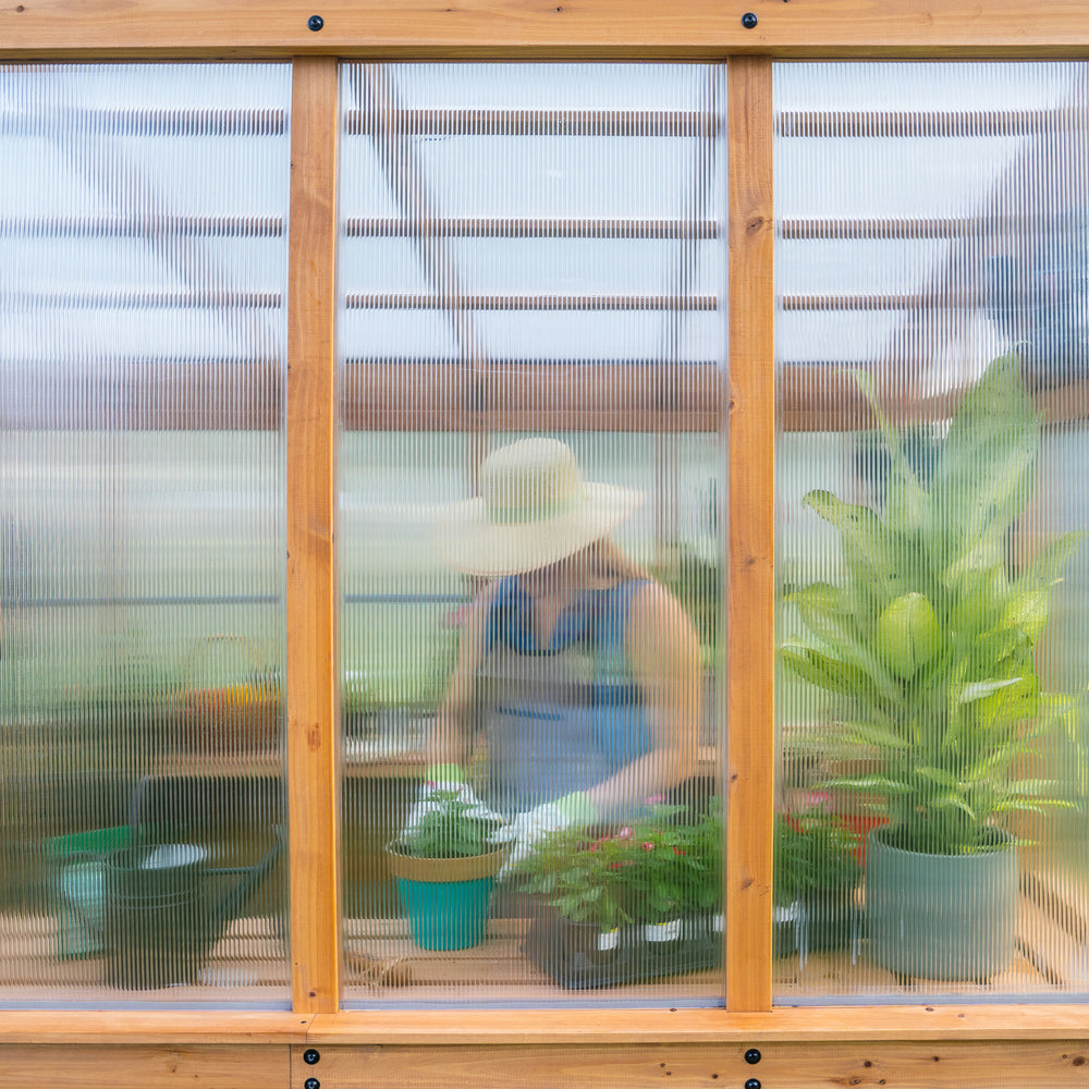 Zaile Greenhouse Front Window