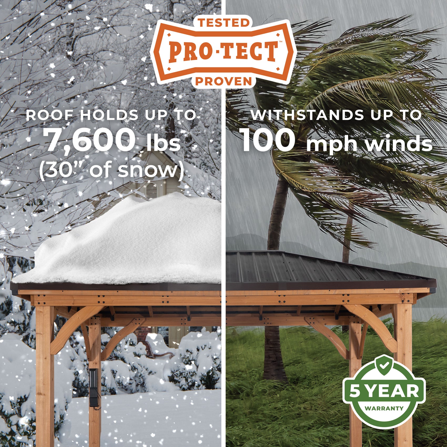 Pro-Tect Image