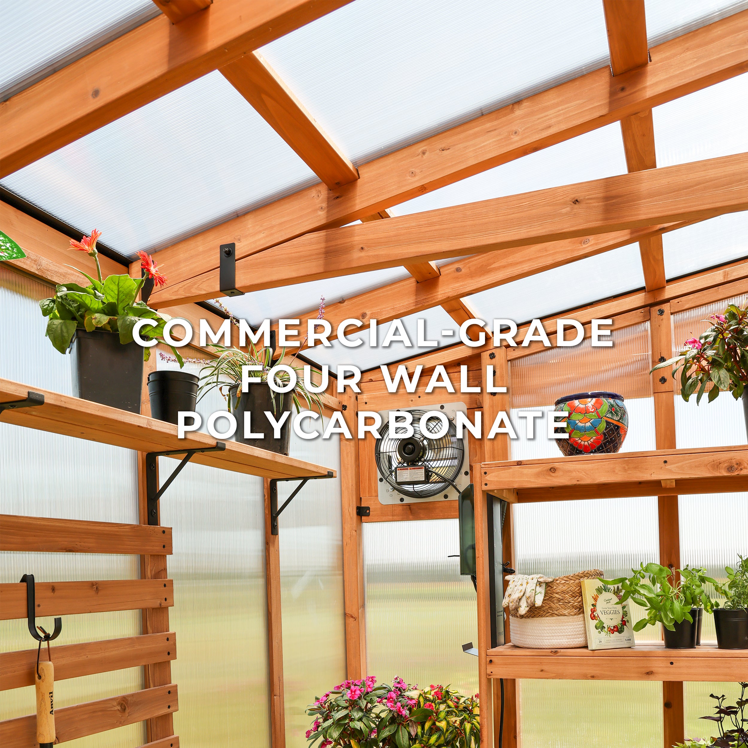 11x7 Poppy Polycarbonate