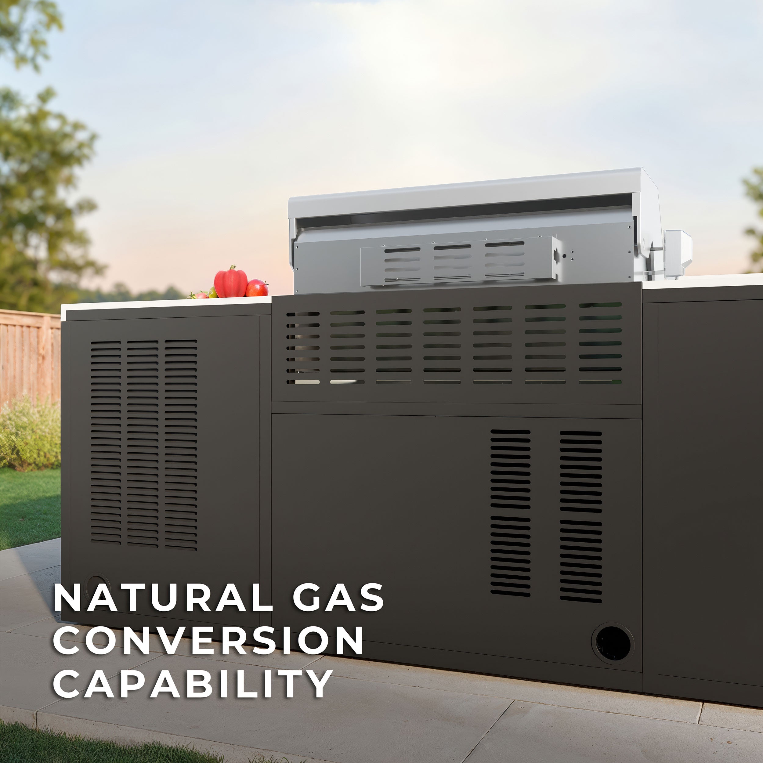 Emory 9foot Galvanized Steel Kitchen Natural Gas Conversion Capability