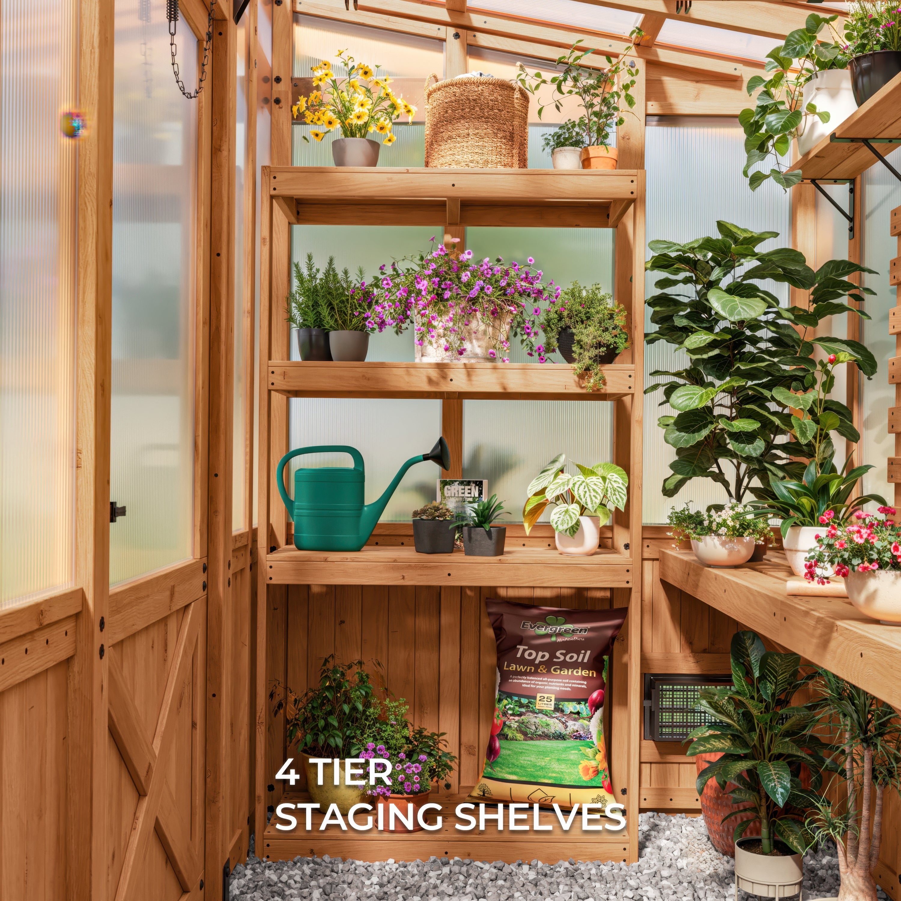 9x6 Poppy Greenhouse Four Tier Staging Shelves