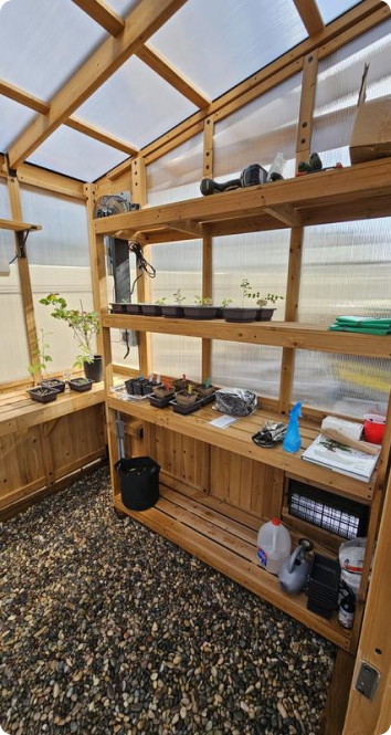 Staging shelves with gardening supplies inside a cedar greenhouse.