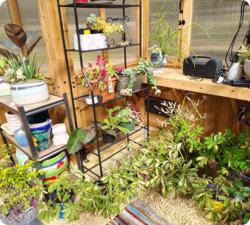 Indoor garden with various plants and gardening tools in a greenhouse setting.