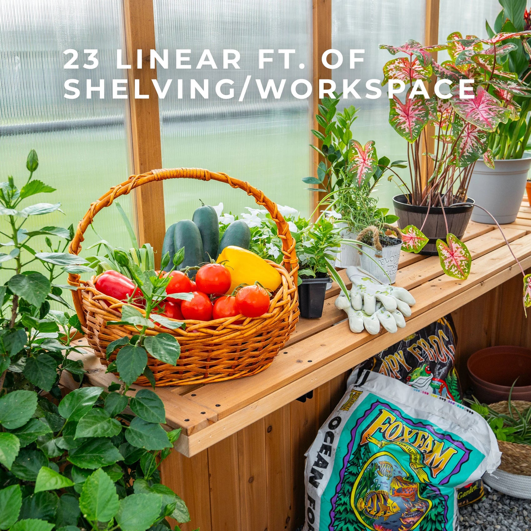 Cedar staging shelves inside the Zalie 12x7 greenhouse hold a harvest basket, potted plants, and gardening gloves.
