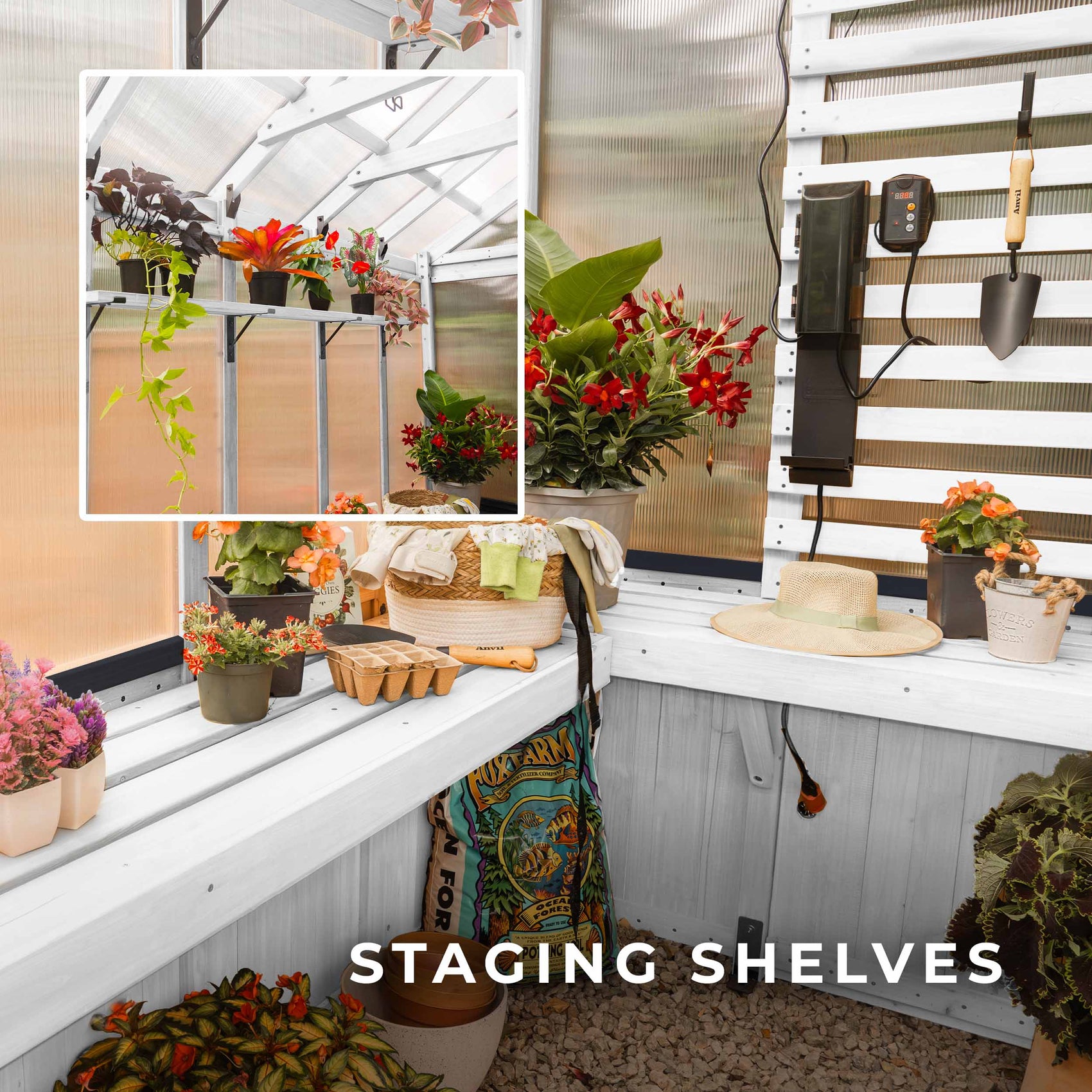 Staging shelves inside the White Bellerose greenhouse kit hold potted flowers, herbs, and seed trays.