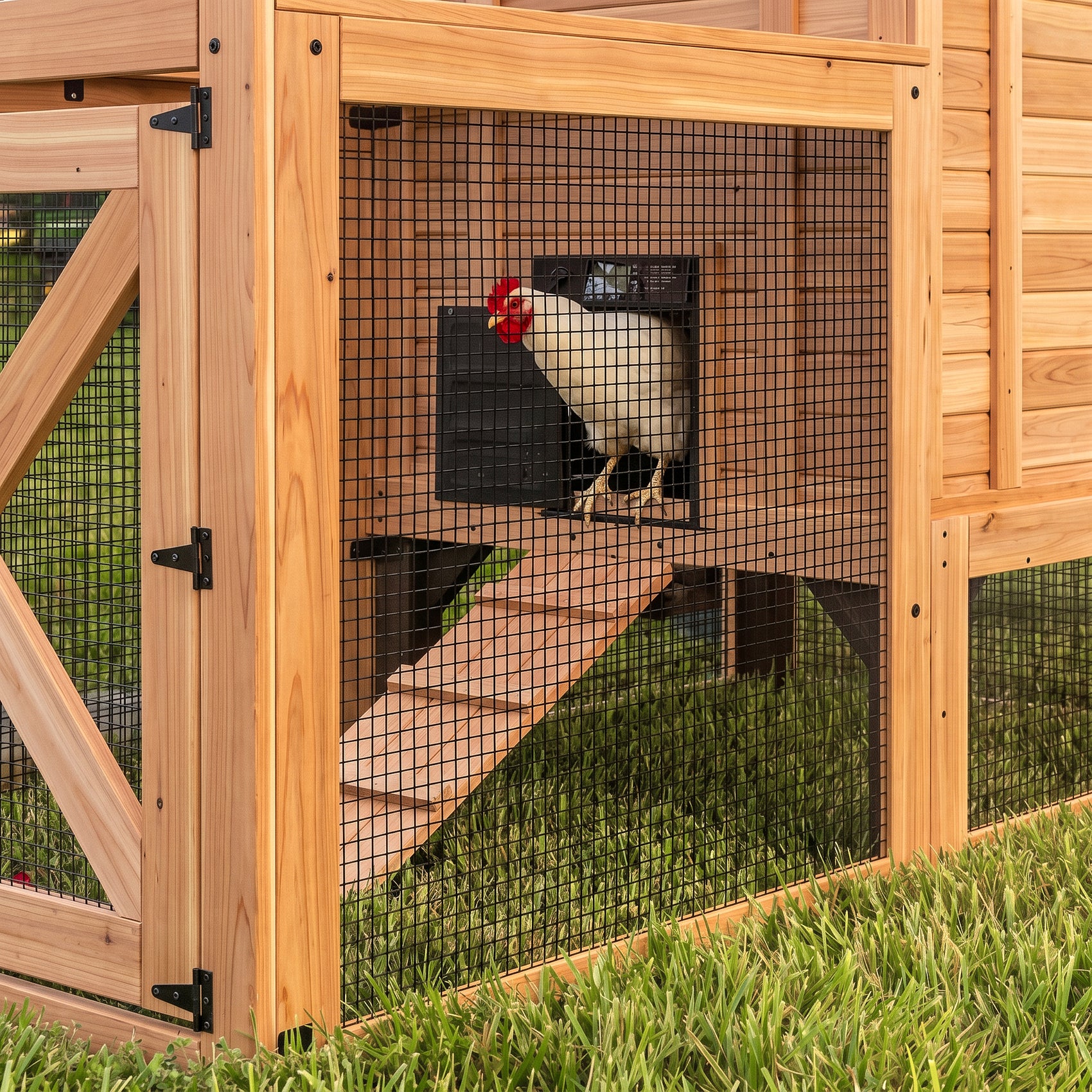 Sweetwater Chicken Coop - Brown