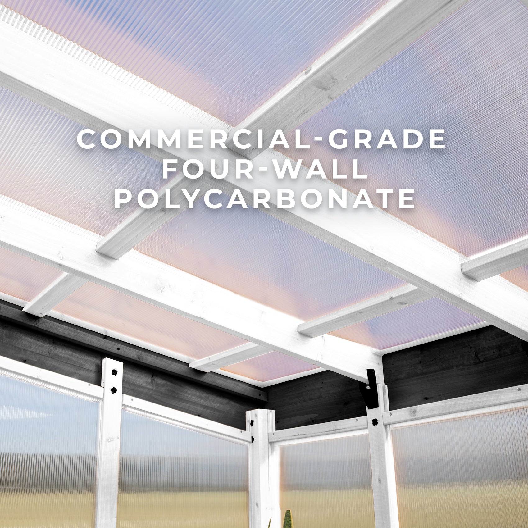 Commercial-grade 4-wall polycarbonate panels fitted into the White Willow greenhouse's sloped roof.