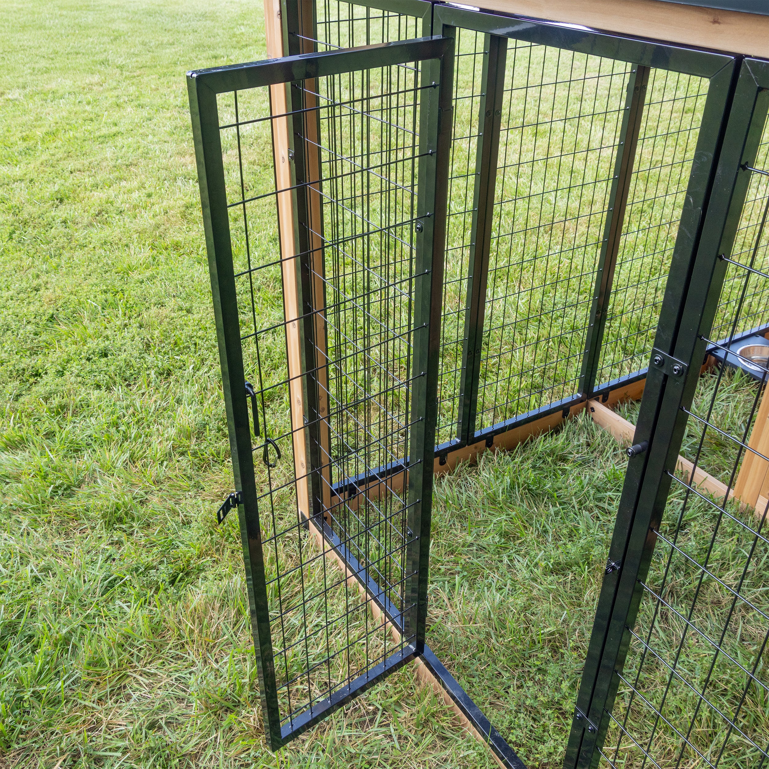 Animal Enclosure