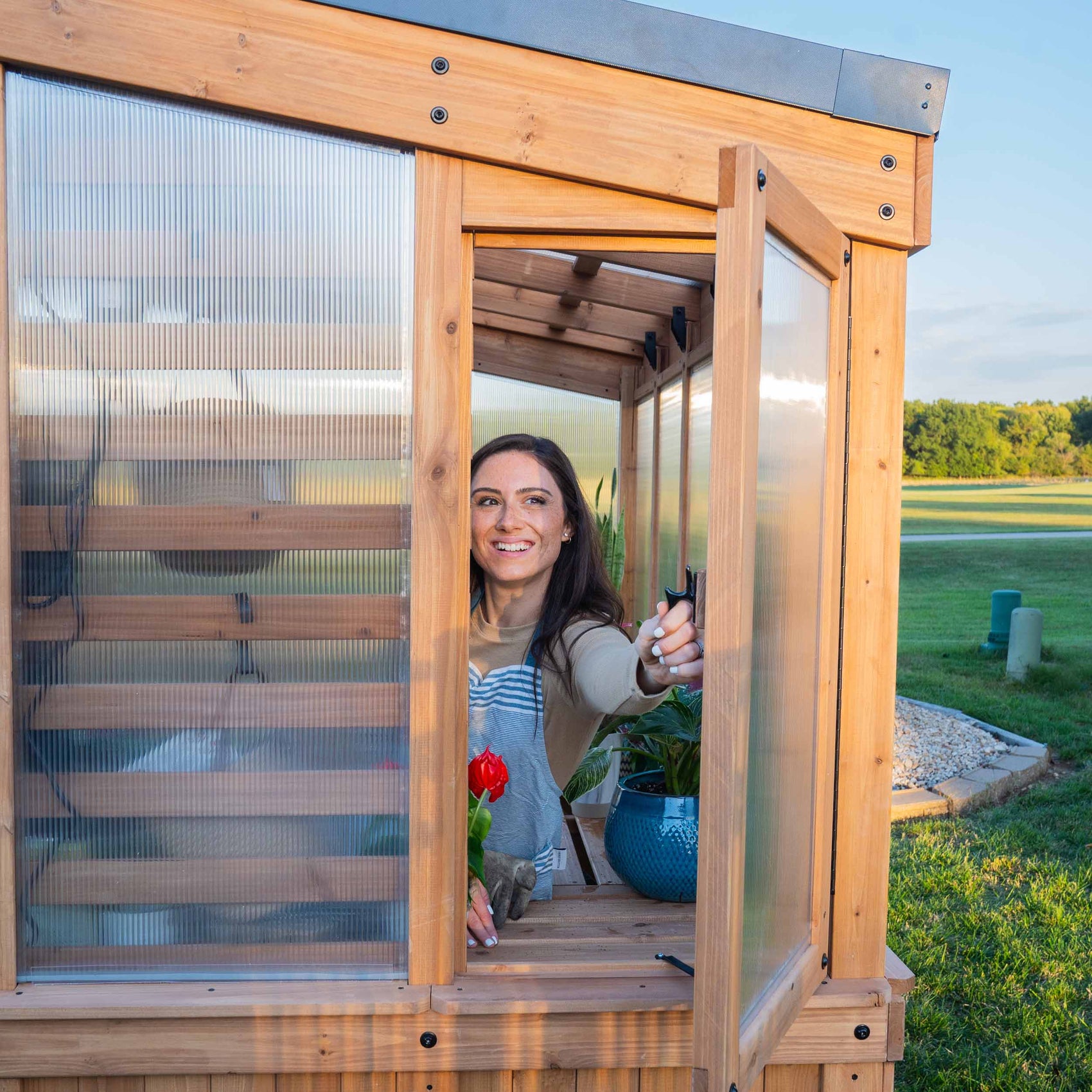 opening a window in the willow greenhouse
