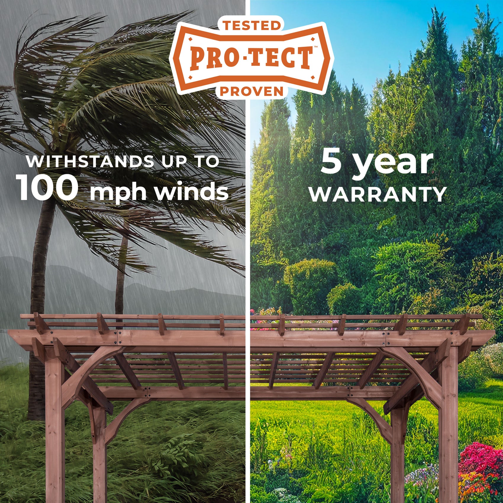 Pro-Tect Image