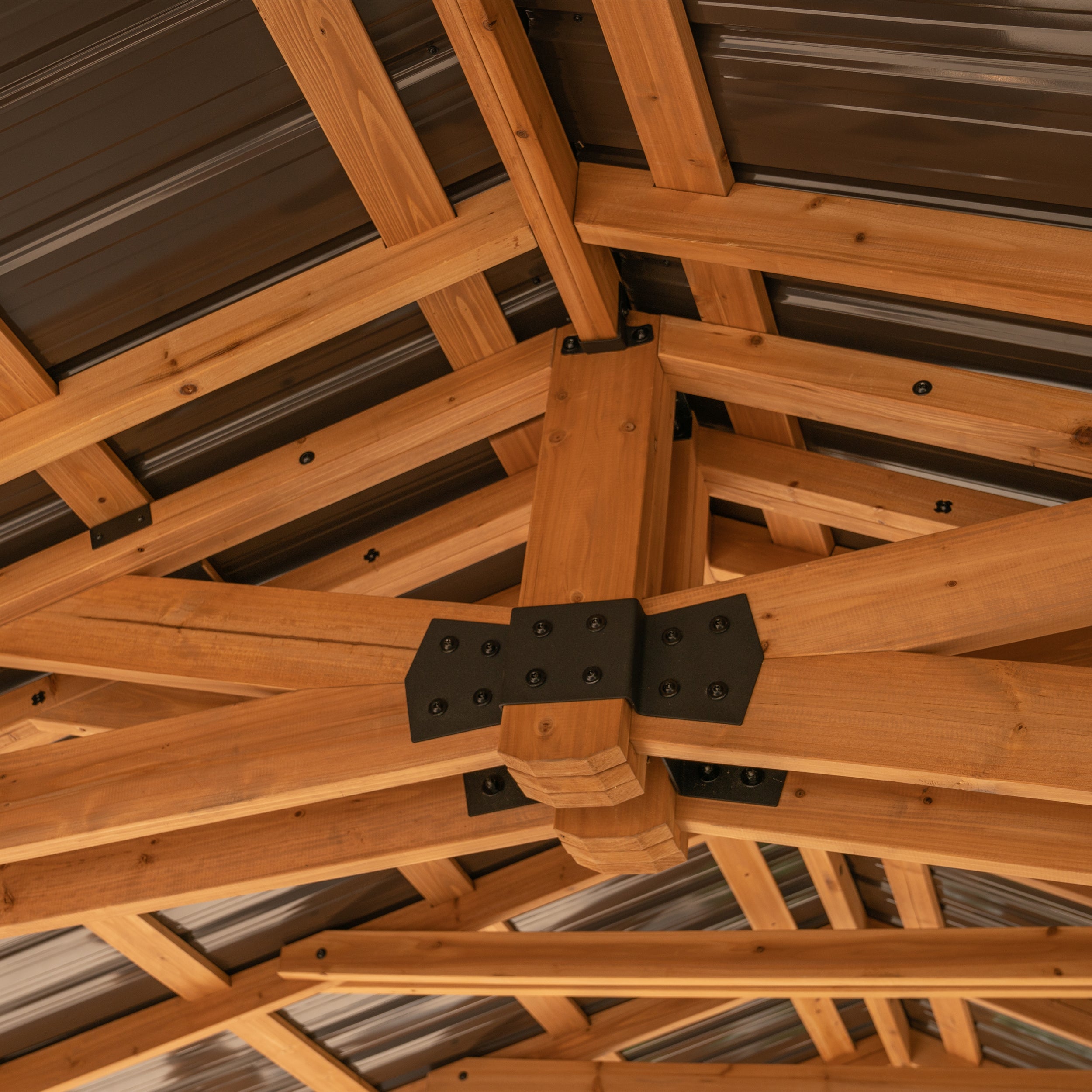 24x12 Norwood Carport/Gazebo