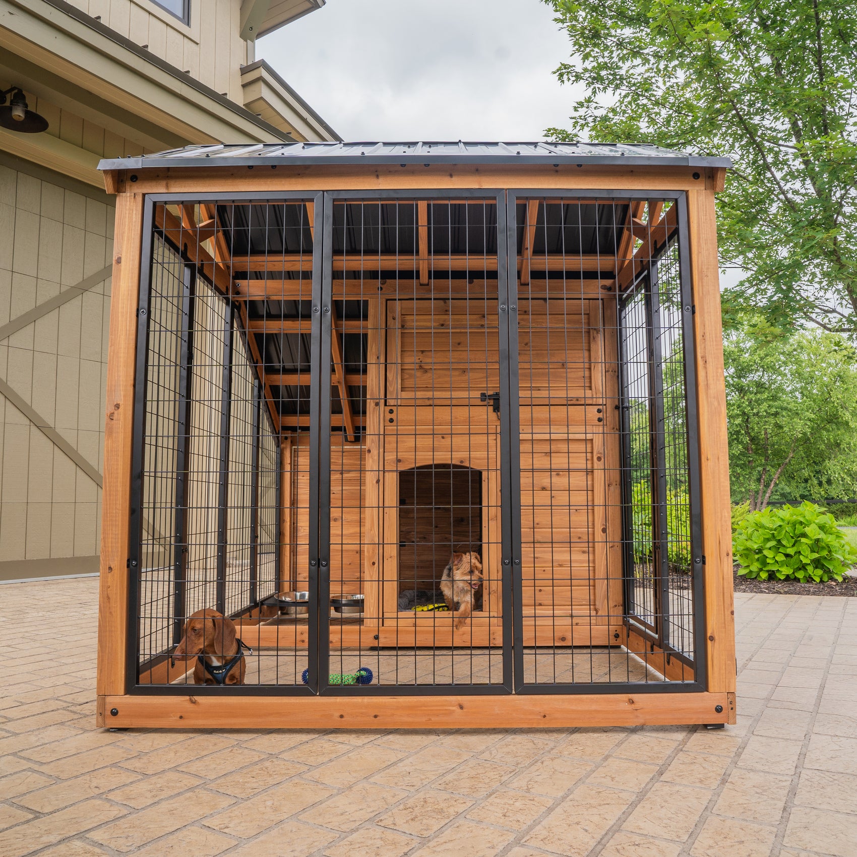 Animal Enclosure