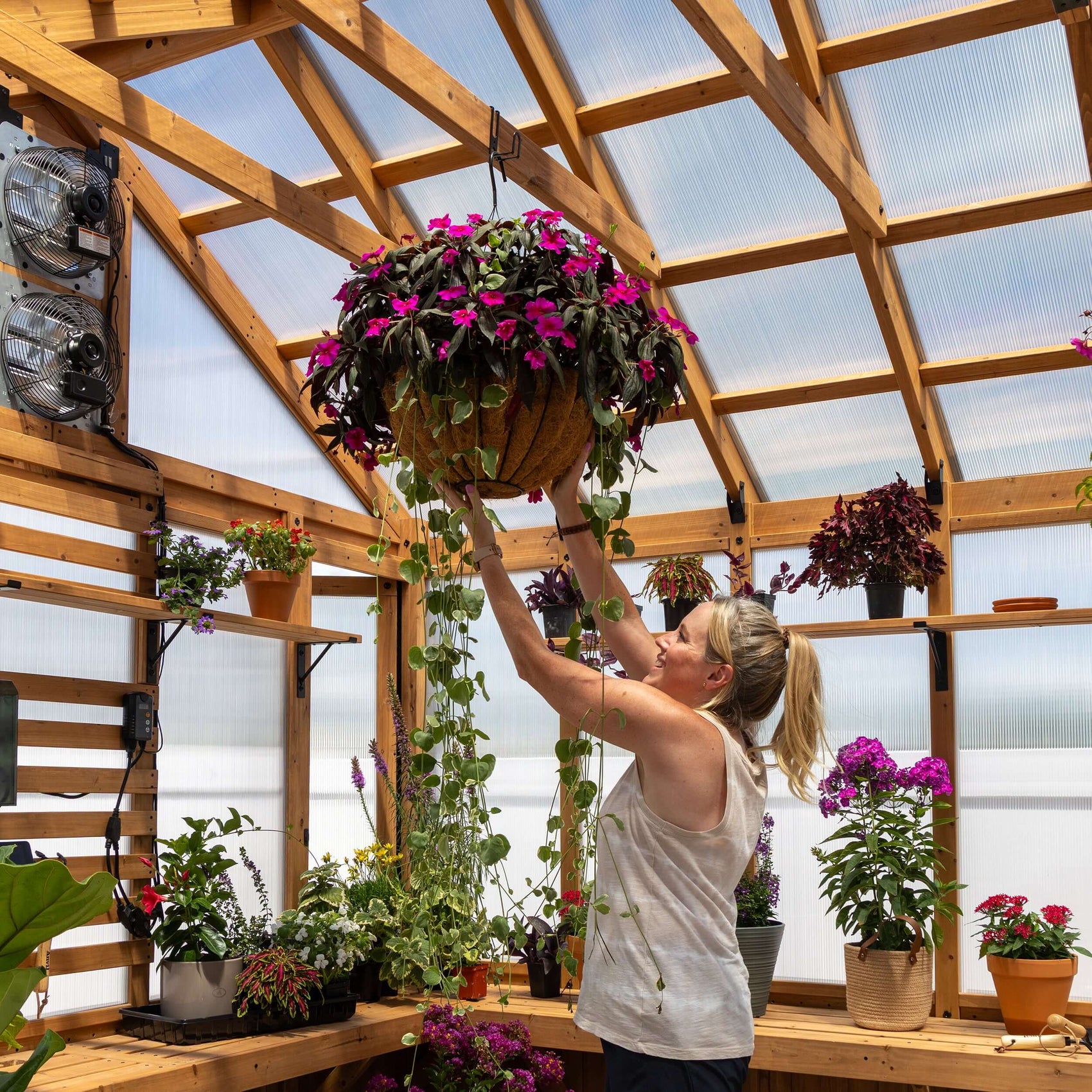 Woman hanging a flower basket inside a cedar wooden greenhouse kit with 4-mm polycarbonate panels.