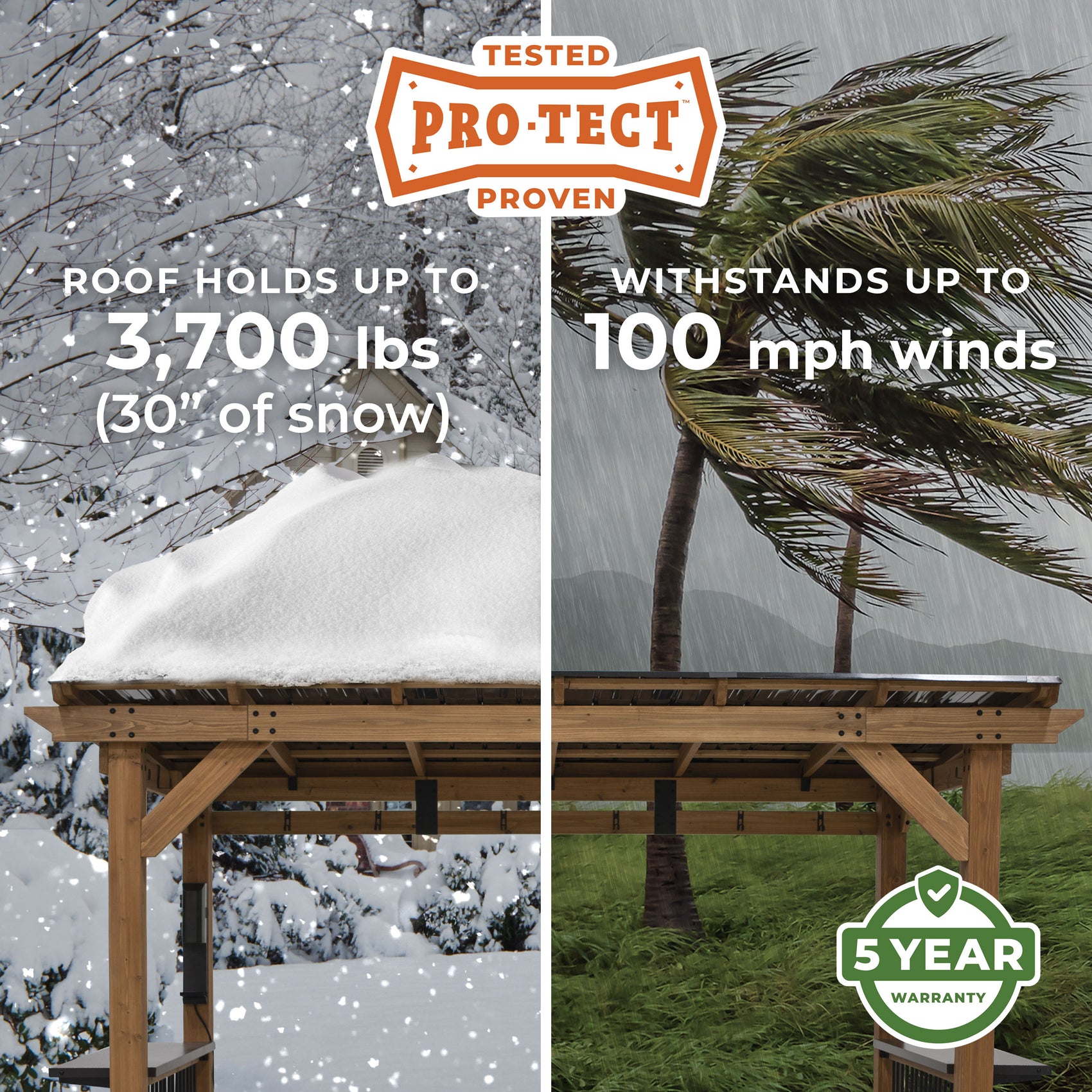 Pro-Tect Image