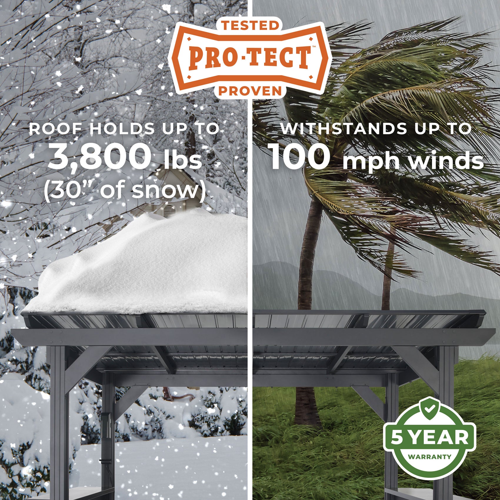 Pro-Tect Image