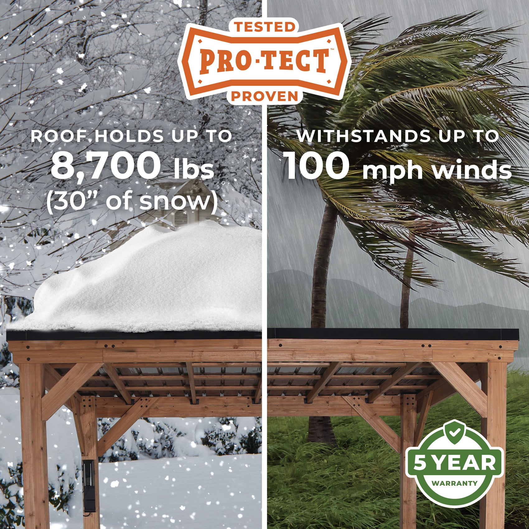 Pro-Tect Image