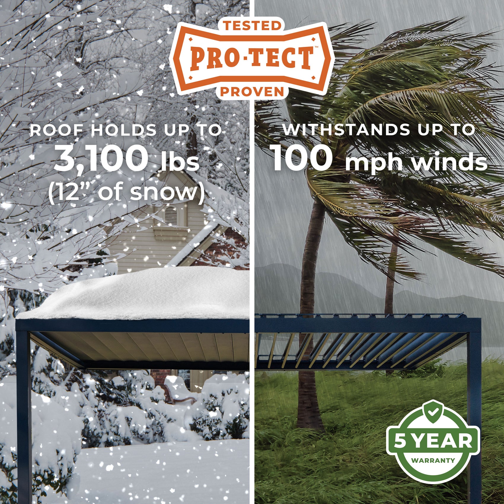 Pro-Tect Image