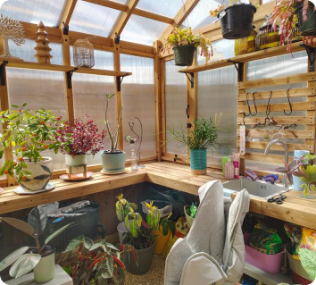 Greenhouse with plants and kitchen area inside, featuring a sink and various items.