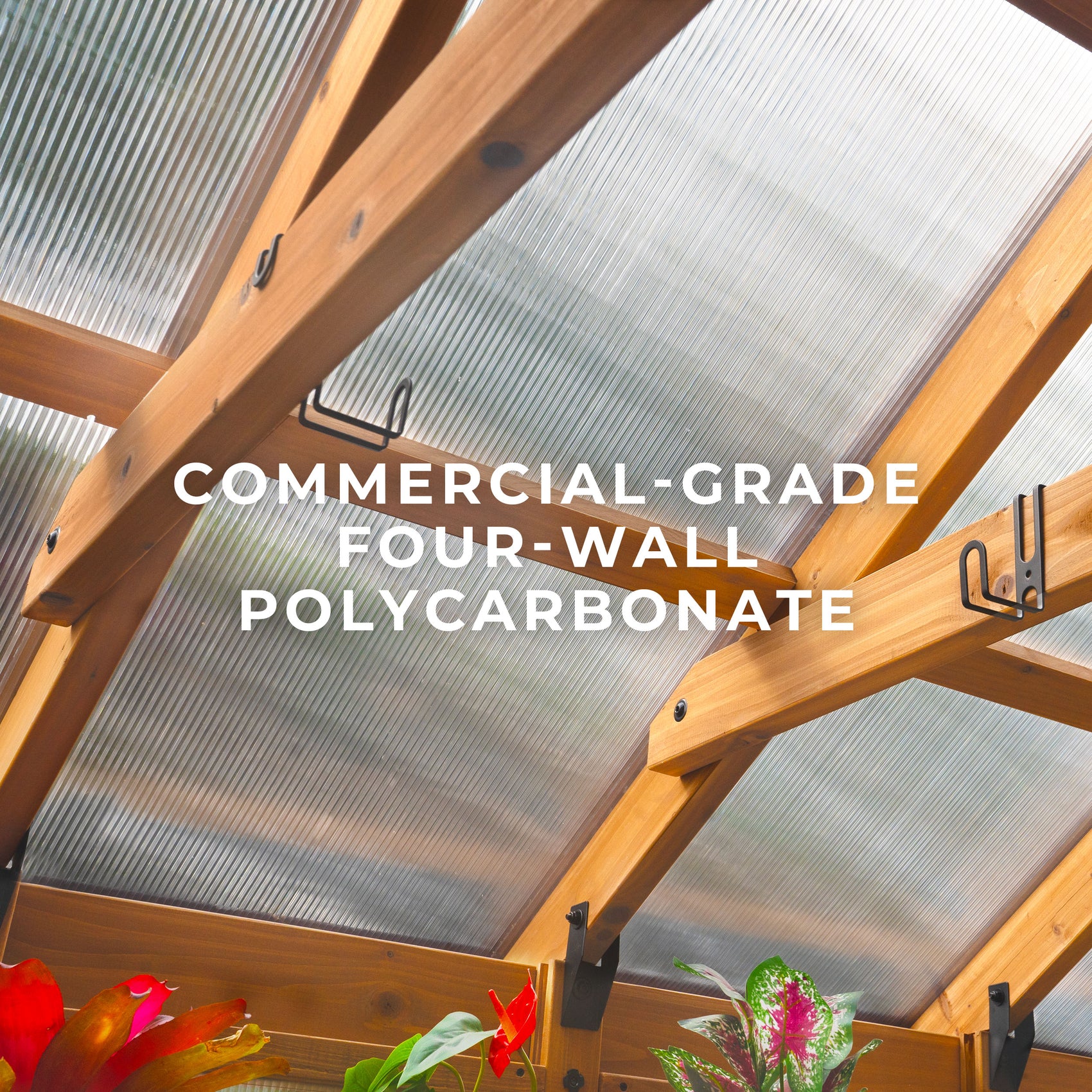 Interior of the Bellerose greenhouse with cedar framing, 4-wall polycarbonate panels, and plant hooks lining the sides.