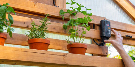 Person adjusting a device on a wooden shelf with potted plants