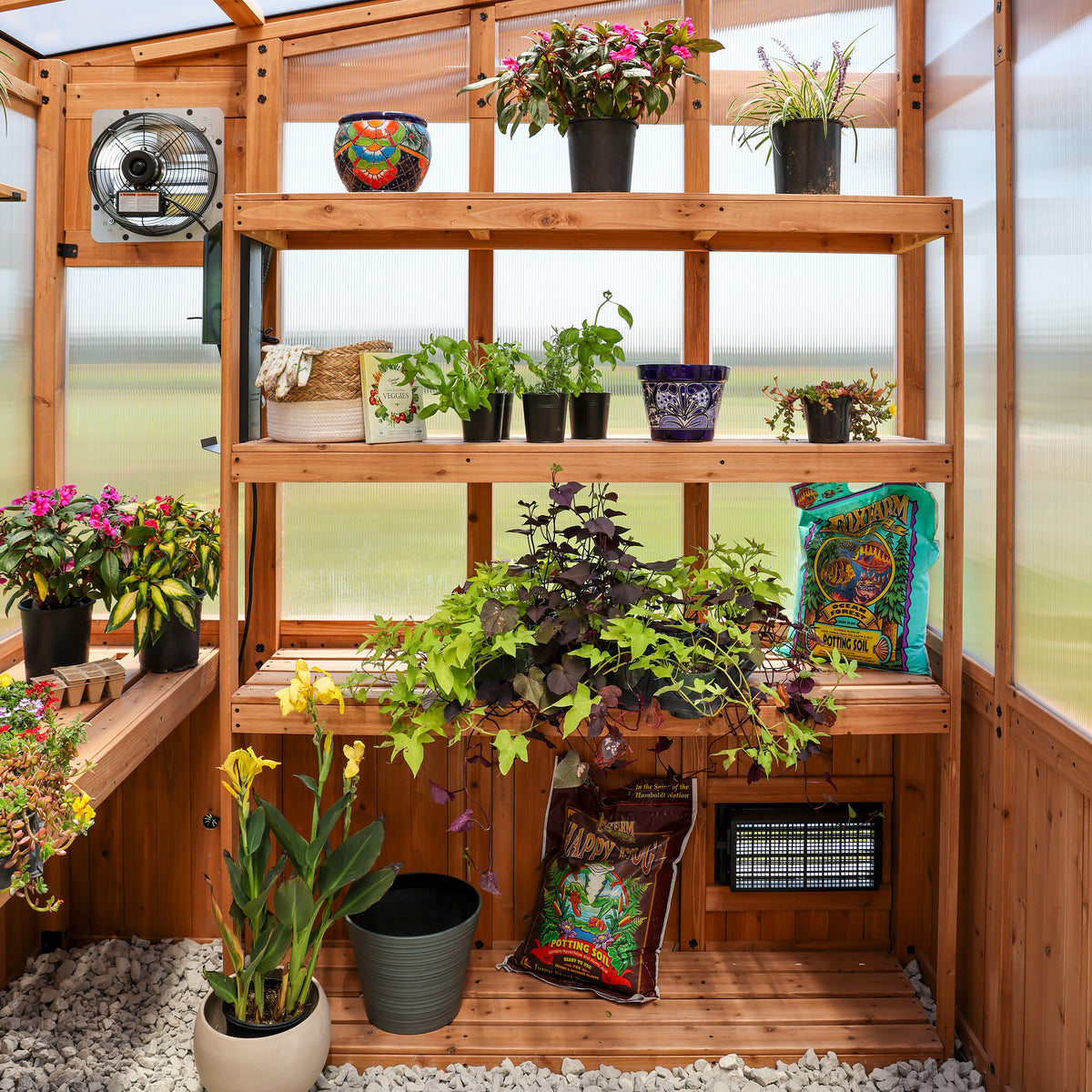 Cedar shelving unit filled with potted plants, soil bags, and gardening supplies inside a 4-wall polycarbonate greenhouse.