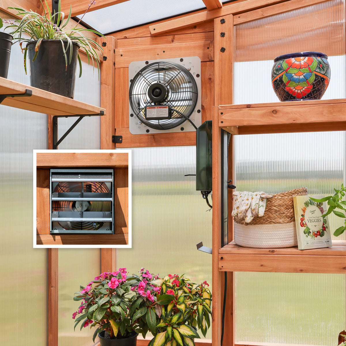 Interior cedar greenhouse shelving displays plants, a thermostat exhaust fan, and gardening accessories.