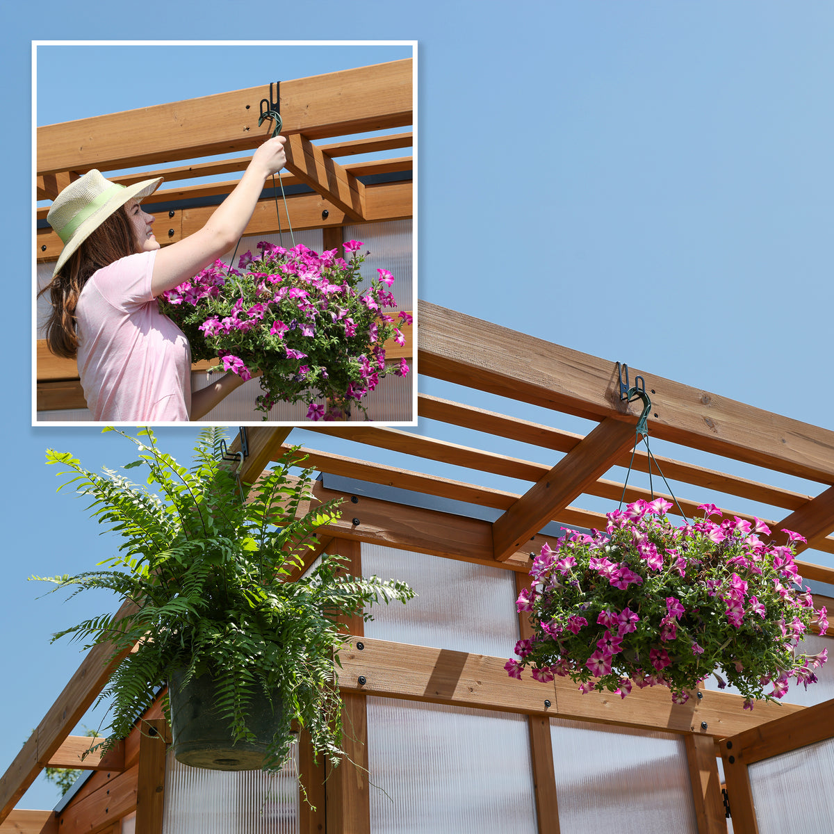 Woman hanging a pink flowering basket from a DIY cedar greenhouse roof beam hook.