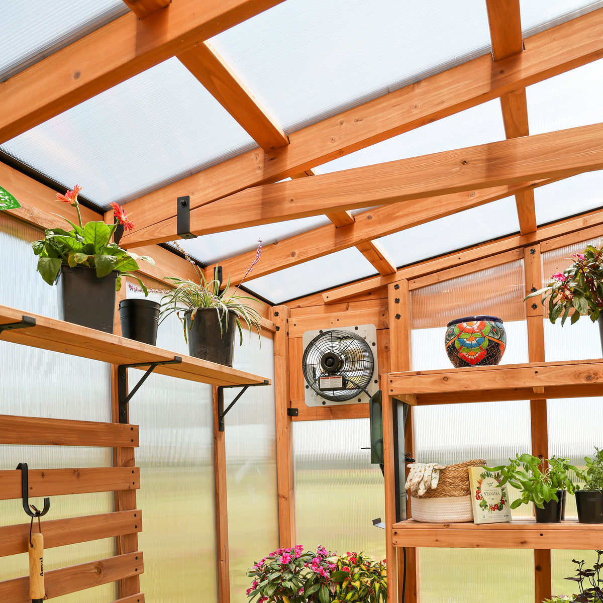 Cedar frame posts and rafters supporting the 4-wall polycarbonate roof panels of the 11x7 Poppy greenhouse.