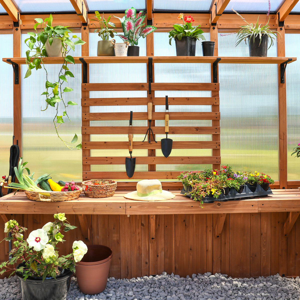 Interior cedar staging bench with tools, plants, vegetables, and a straw hat inside a greenhouse.