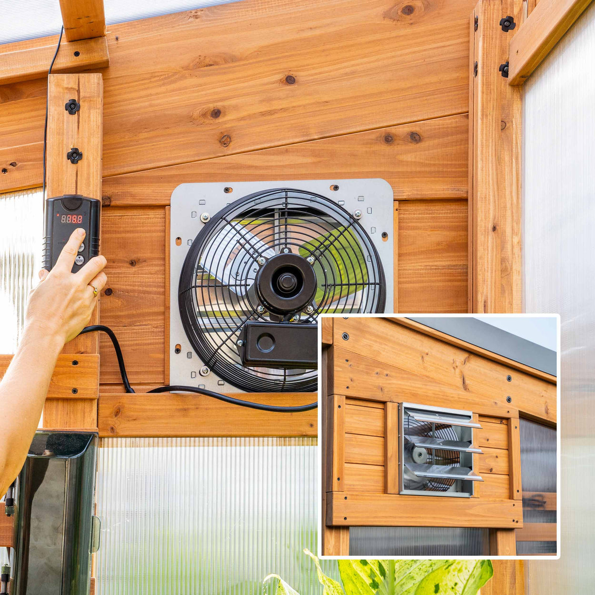 Thermostat exhaust fan mounted in a cedar greenhouse wall with a hand adjusting the digital controller.