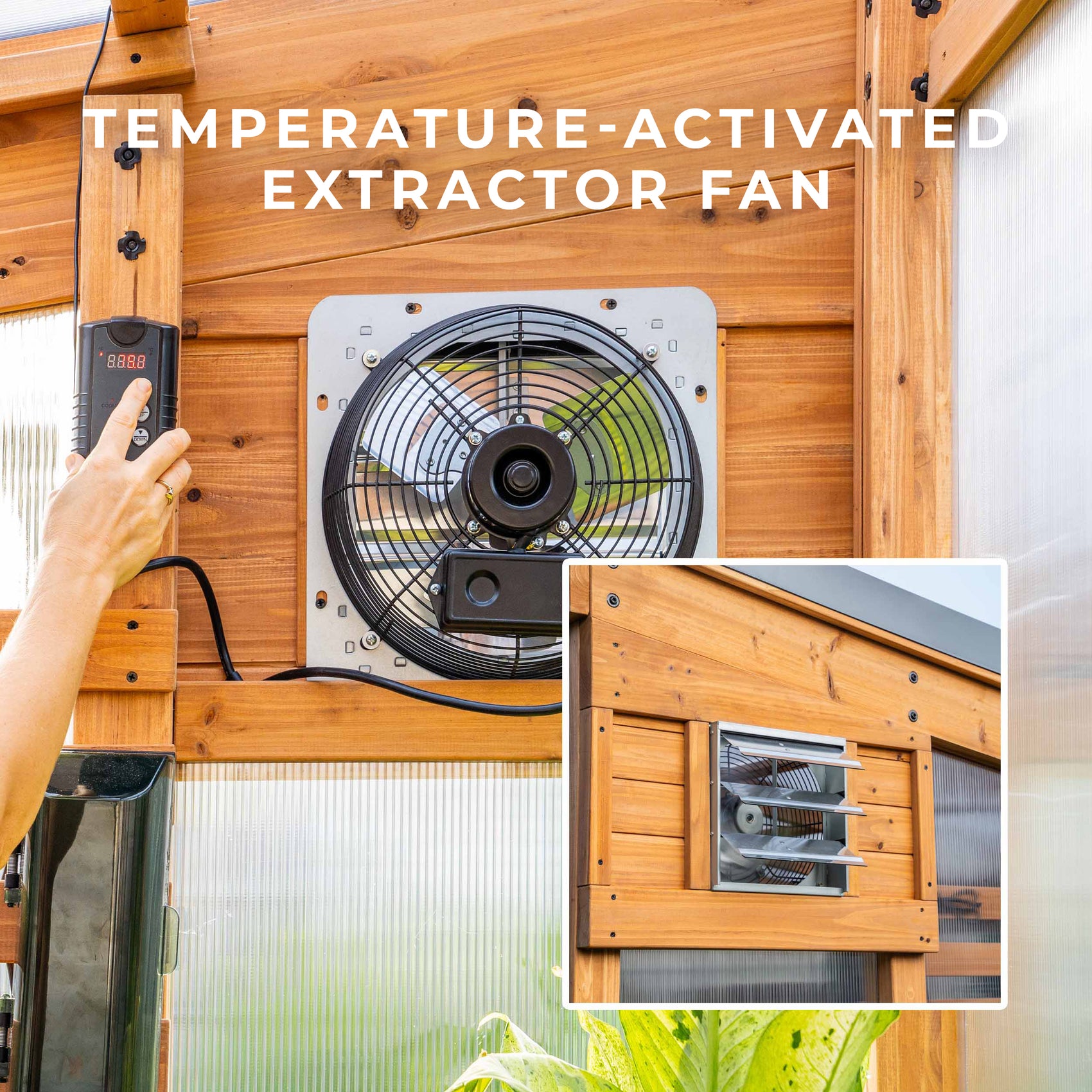A hand adjusts the digital thermostat controller for the temperature-activated exhaust fan mounted in a cedar greenhouse.
