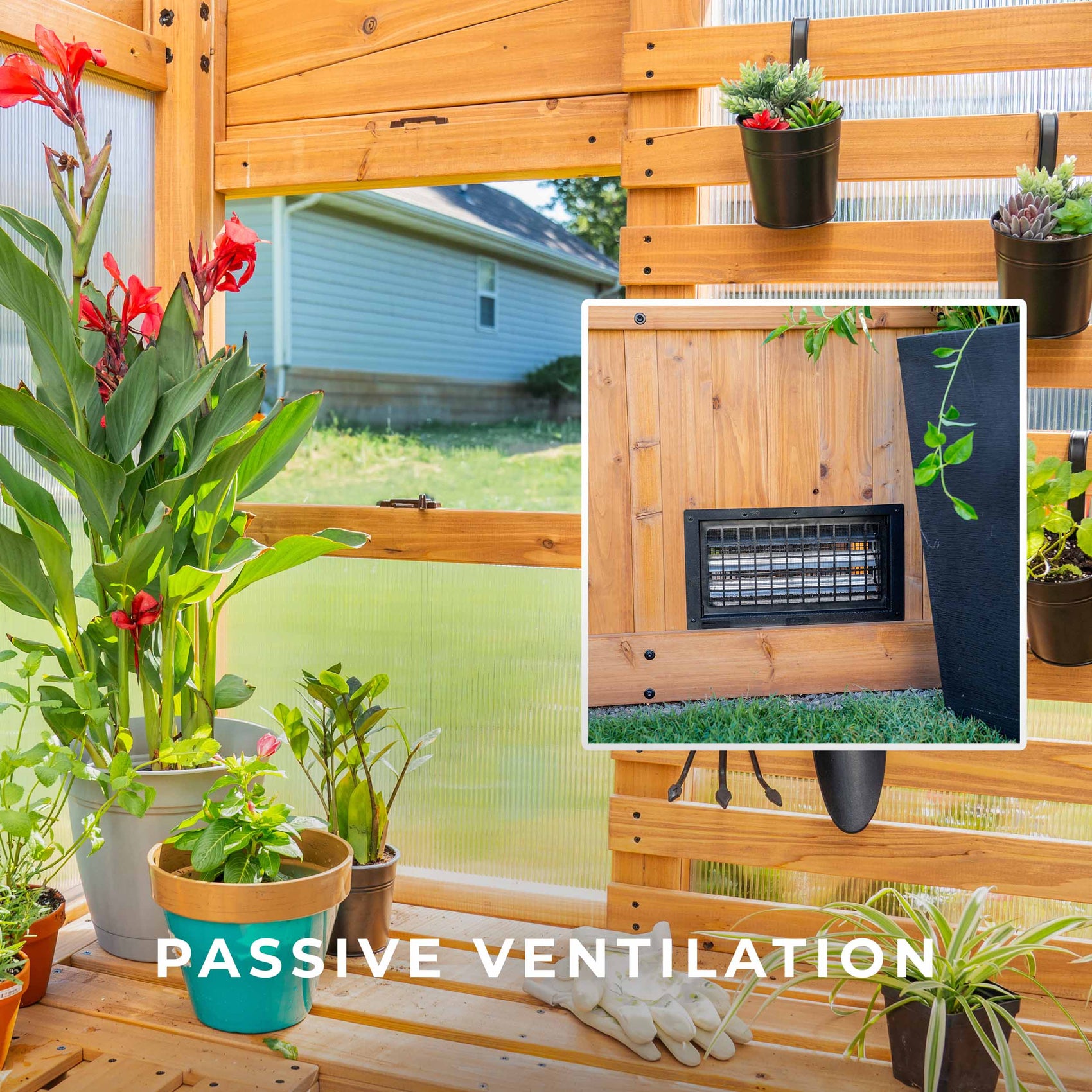 Inside the Zalie greenhouse, potted plants sit on cedar shelves beside a low intake vent for passive ventilation.