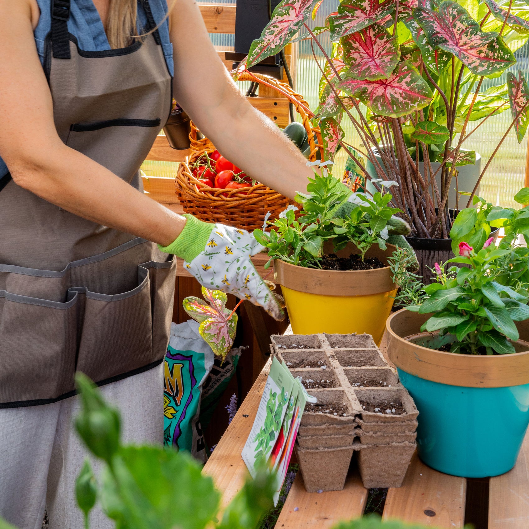 Woman tending potted plants and seedling trays on staging shelves inside the Zalie 12x7 greenhouse.
