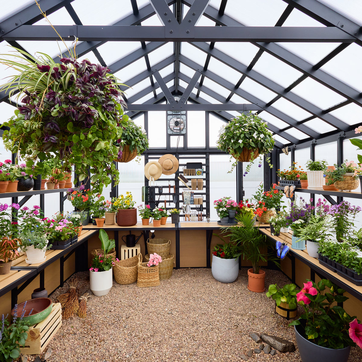Galvanized steel frame posts and rafters supporting the 4-wall polycarbonate roof panels of a greenhouse.