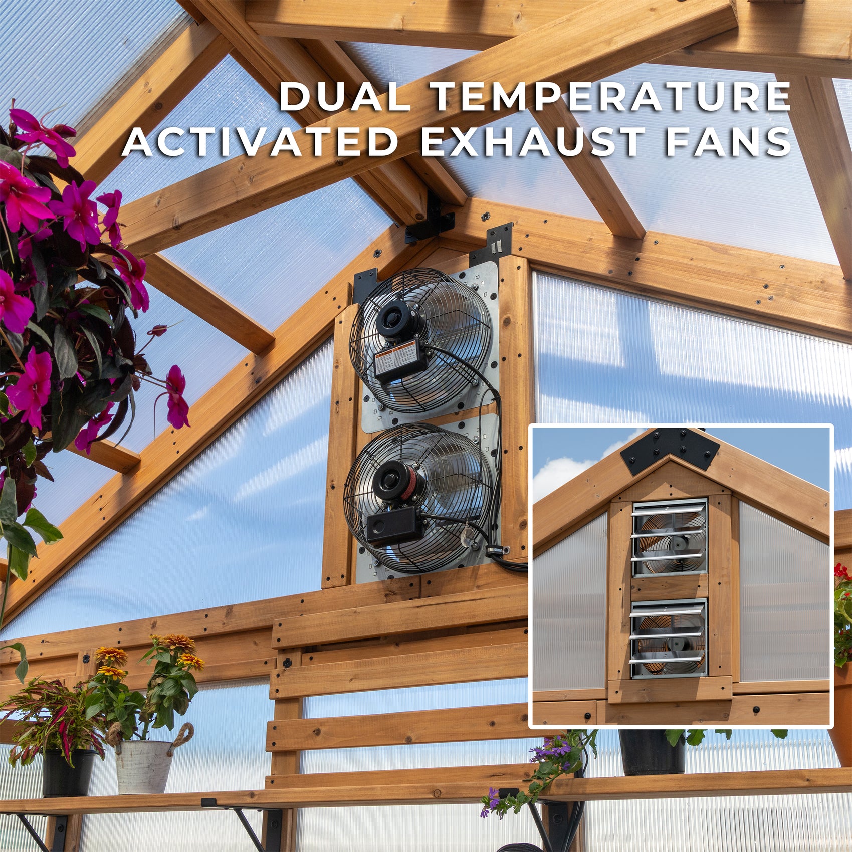 Two thermostat-activated exhaust fans mounted high on the cedar end wall of the Savannah wooden greenhouse.