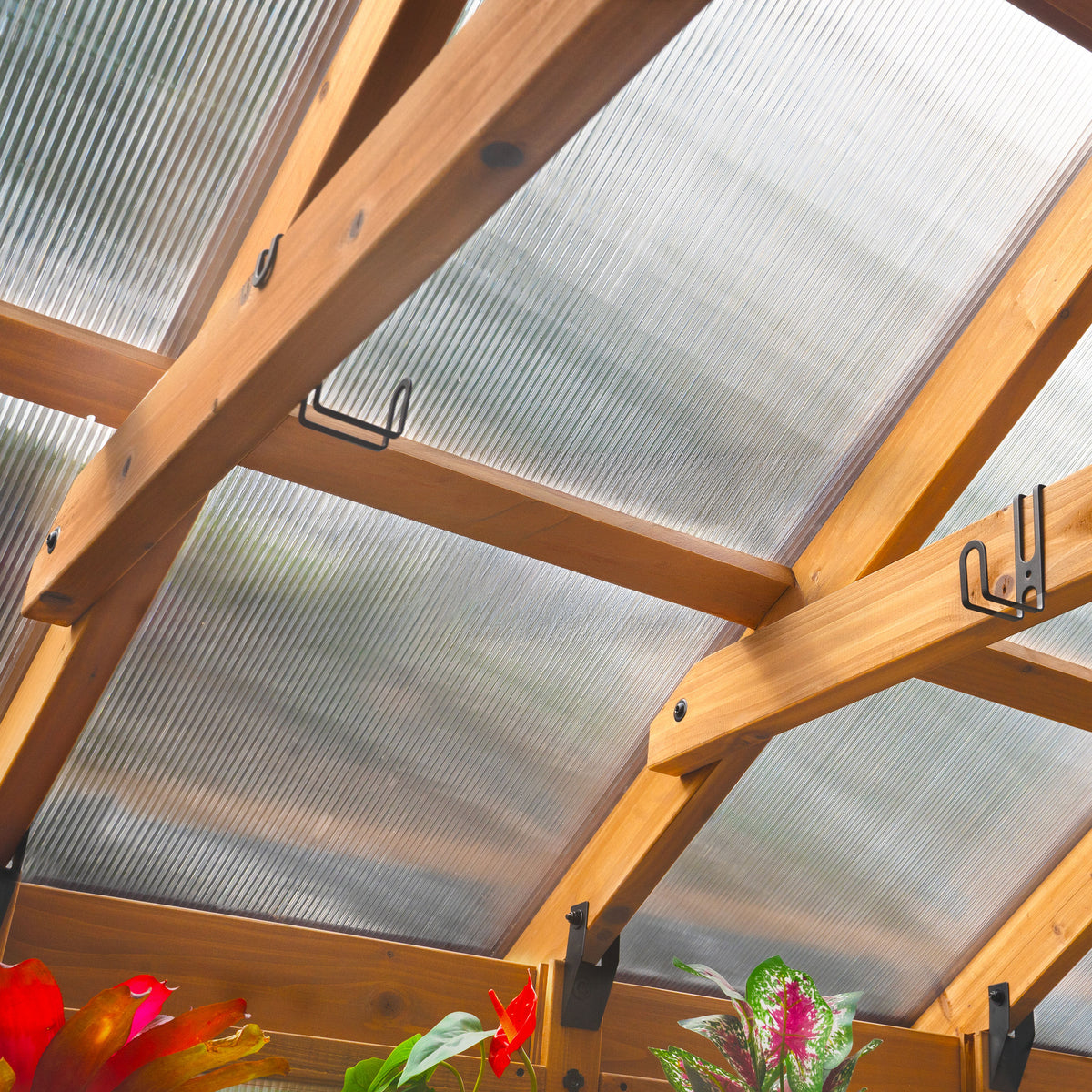 Cedar frame posts and rafters supporting the 4-wall polycarbonate roof panels of the Savannah greenhouse.