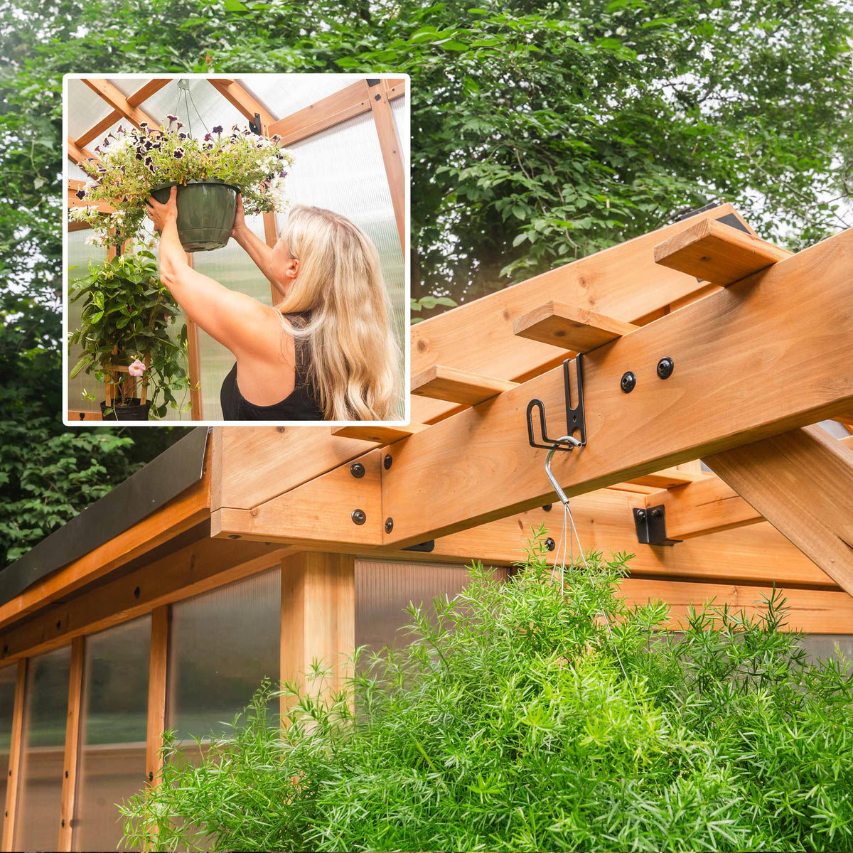 Woman hanging a flowering plant basket from year-round cedar greenhouse roof rafter hooks.