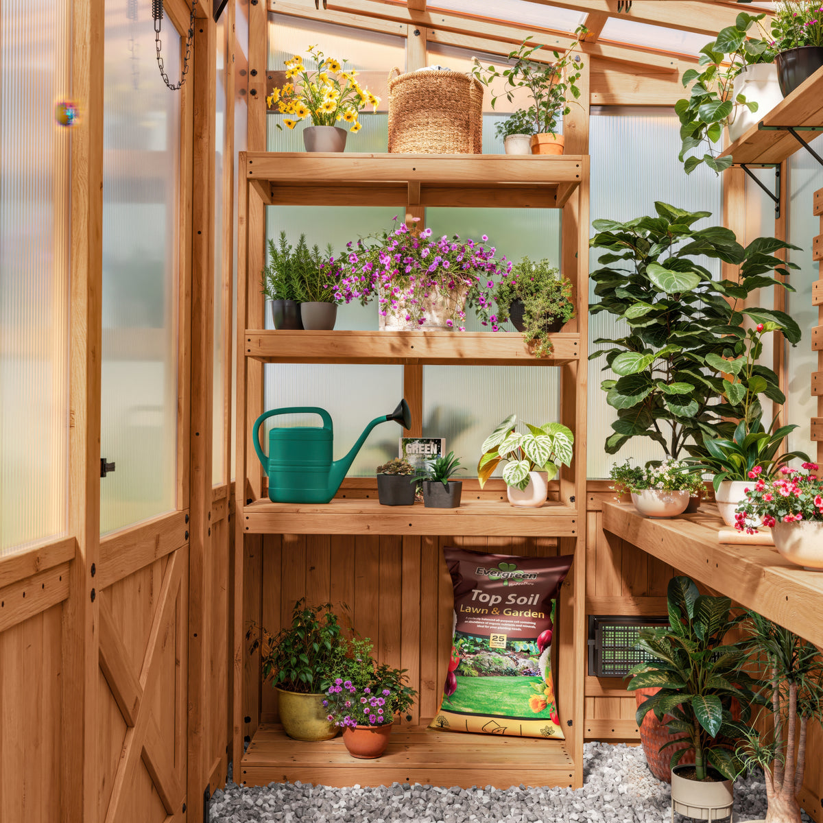 Cedar shelving unit displaying potted plants, flowers, a watering can, and a bag of top soil inside a wooden greenhouse.