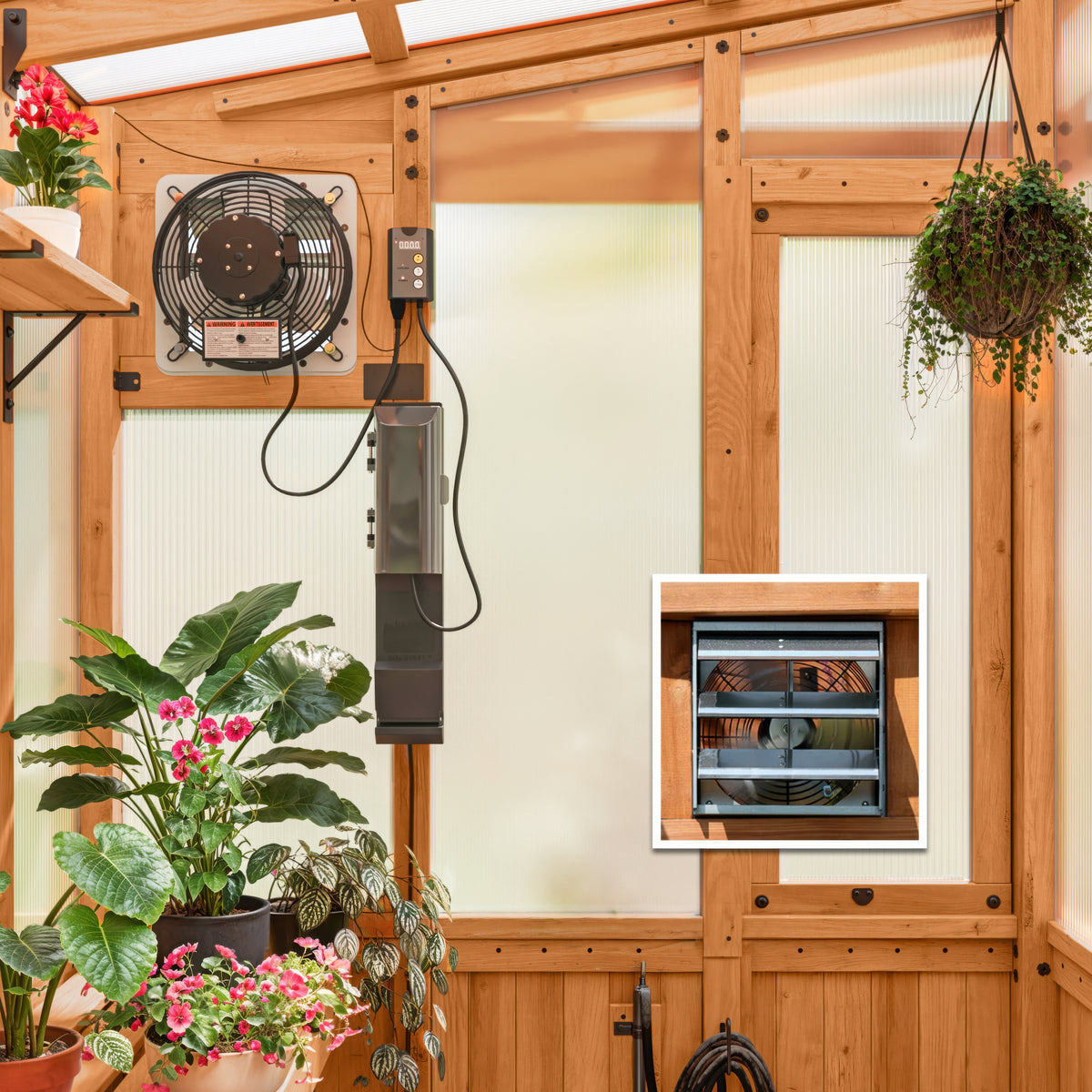 Year-round cedar greenhouse interior with a thermostat exhaust fan and intake vent.