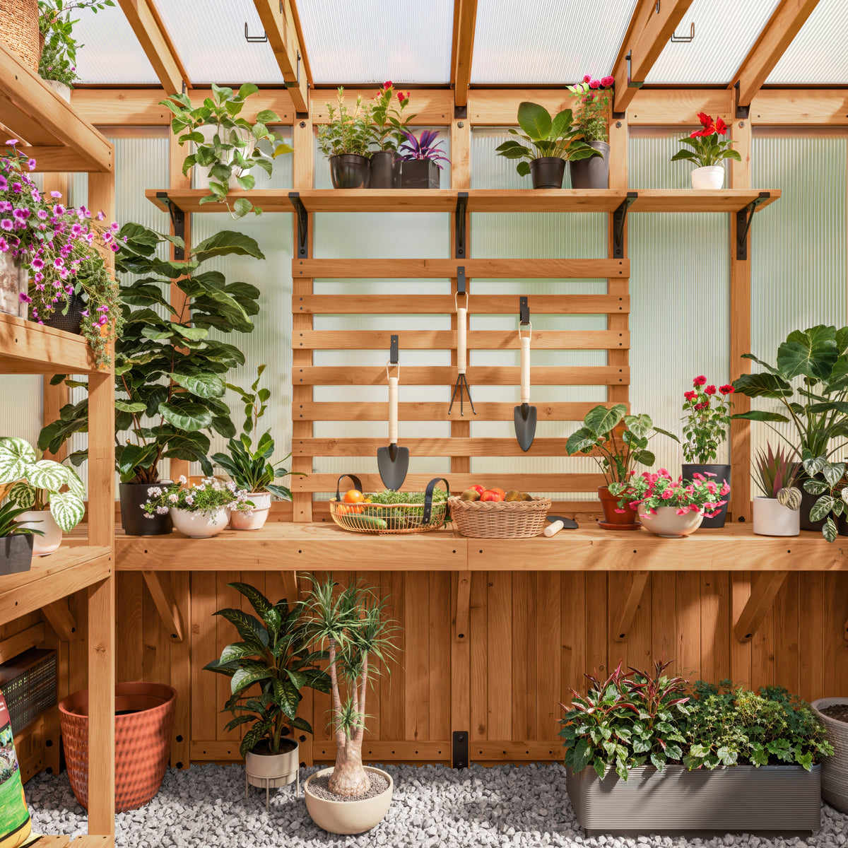 Interior cedar staging bench with shelves holds potted plants, tools, and baskets in a polycarbonate greenhouse.
