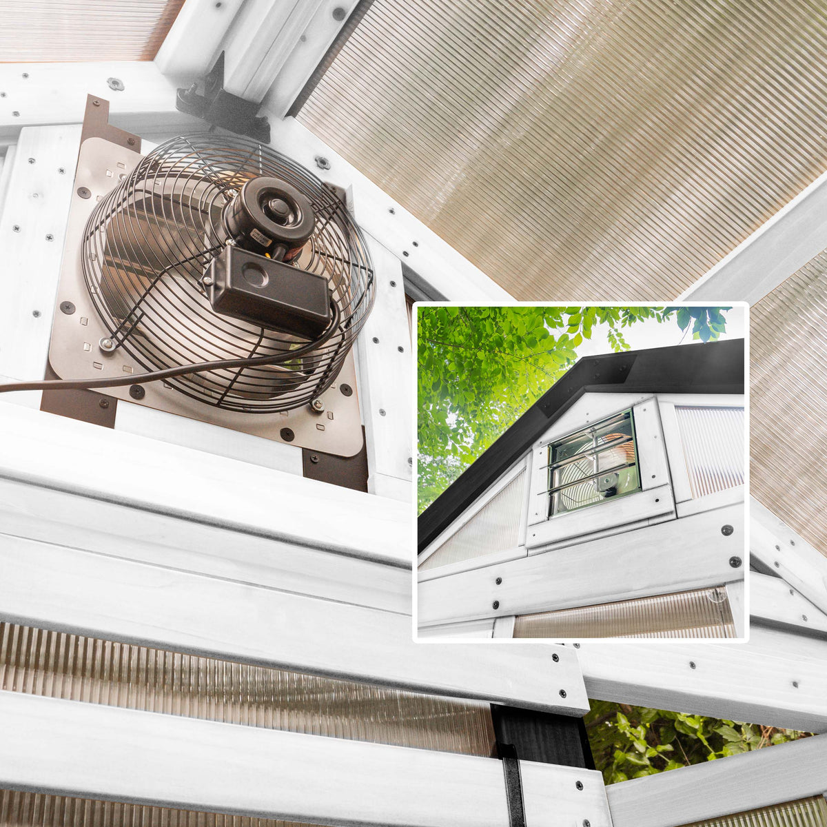 Thermostat exhaust fan mounted in the upper wall of a white aluminum frame greenhouse with polycarbonate roof panels.