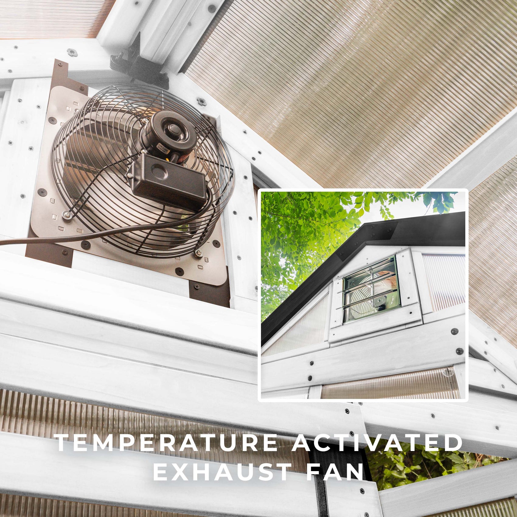 A thermostat-activated exhaust fan mounted in the peaked roof of the White Bellerose 9x6 greenhouse draws heat out.