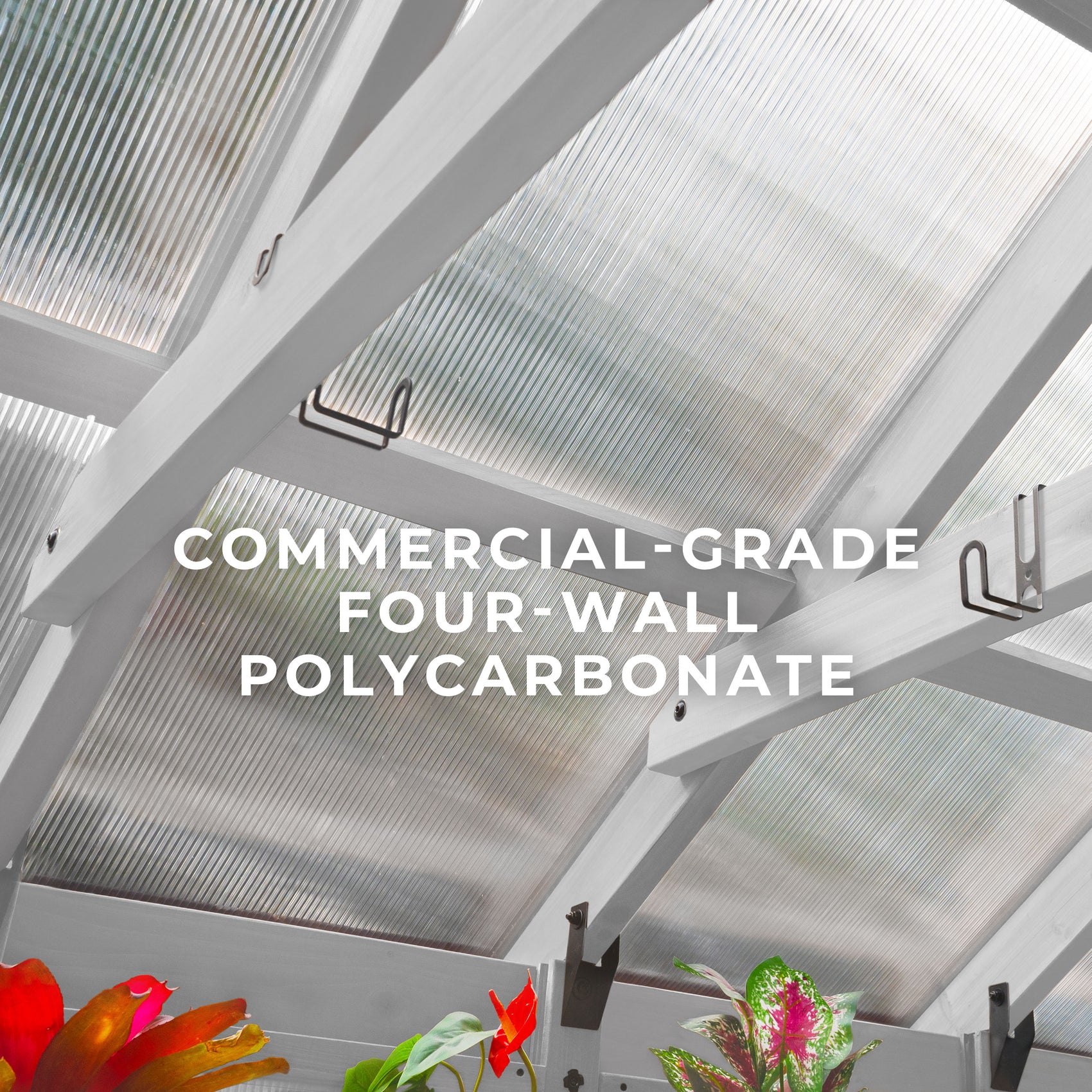 Looking up at commercial-grade 4-wall polycarbonate panels forming the peaked roof of the White Bellerose greenhouse.