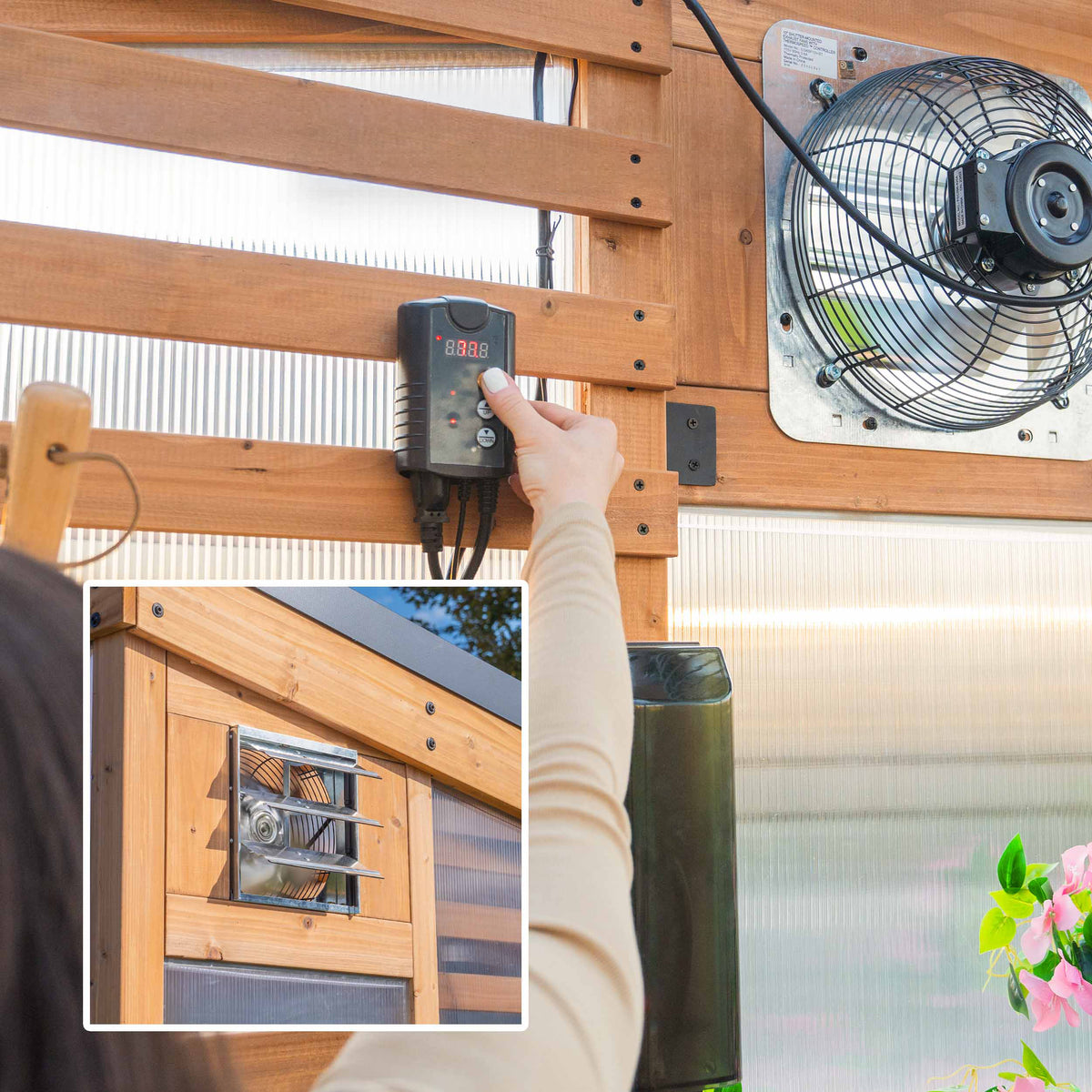 Thermostat exhaust fan controller being adjusted by a person inside a wooden greenhouse with 4-wall polycarbonate panels.