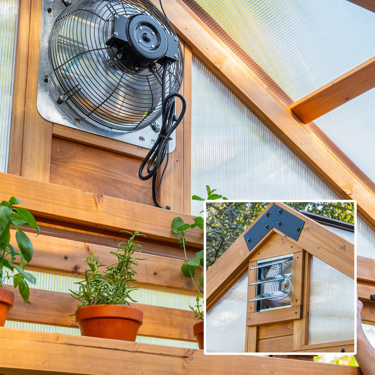 Thermostat exhaust fan mounted on a cedar wall inside a polycarbonate greenhouse with potted herbs on a shelf.