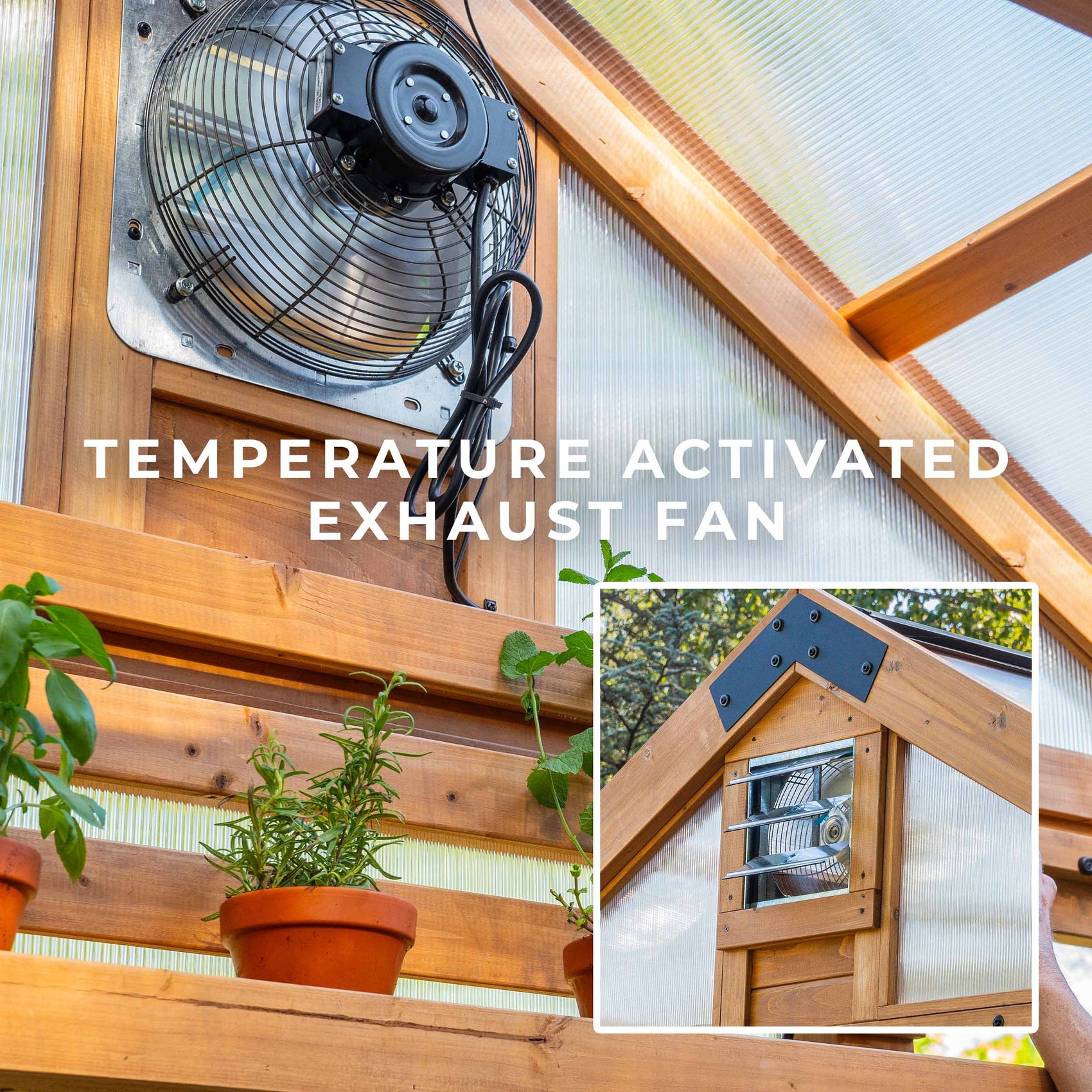 A thermostat-activated exhaust fan inside the Bellerose XL wooden greenhouse pulls heat out as temperatures rise.