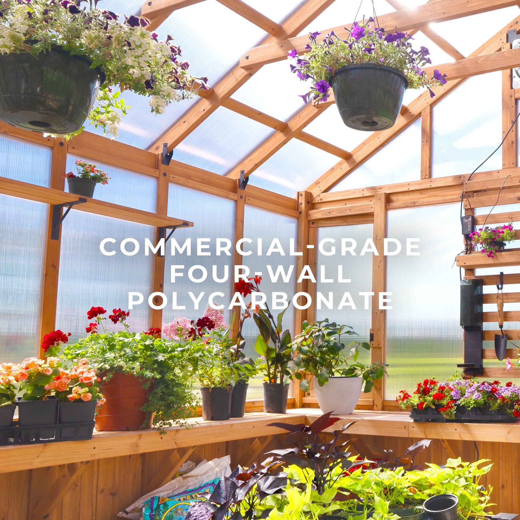 Inside the Bellerose XL greenhouse, staging shelves and a slat wall hold potted flowers beneath 4-wall polycarbonate panels.