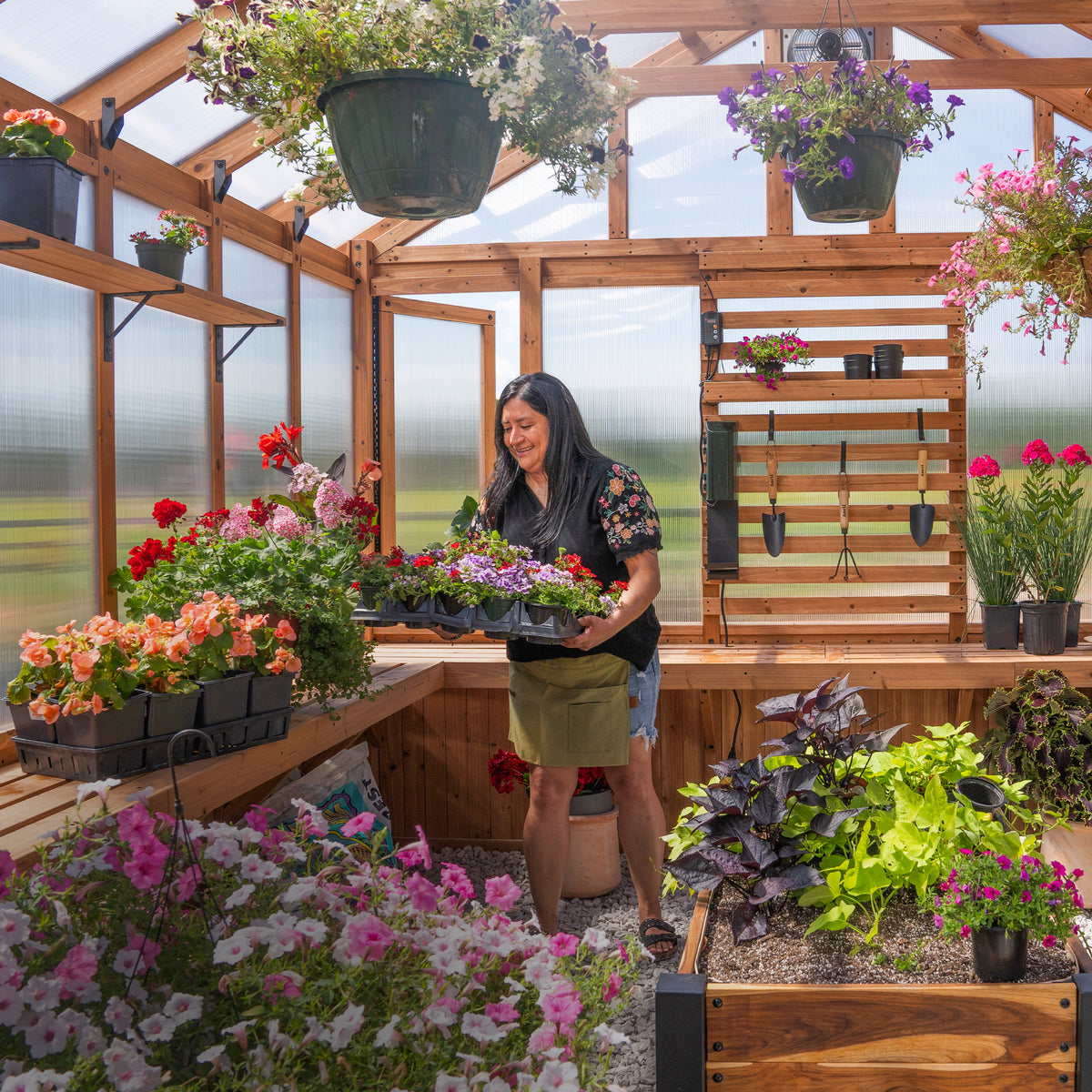 Woman potting plants at the staging shelves and slat wall workstation inside a backyard cedar greenhouse.