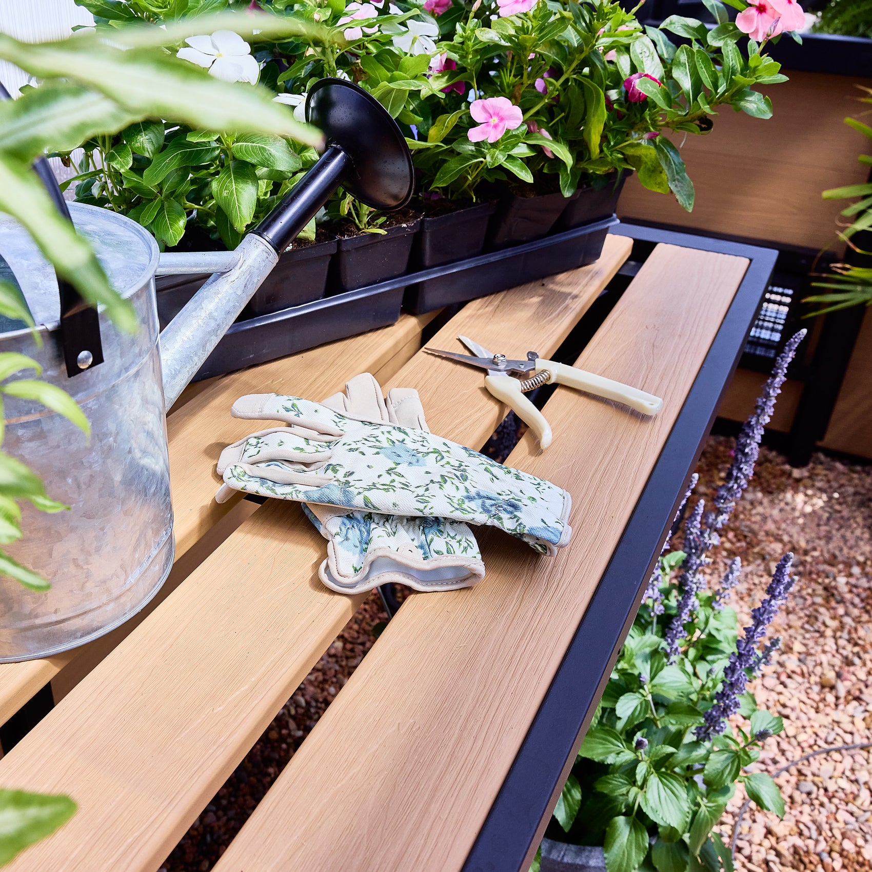 Gardening gloves, pruning shears, and a watering can on a bench beside flowering plants inside a backyard greenhouse.